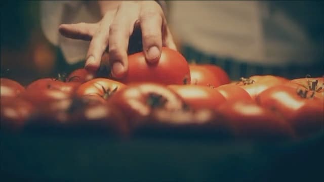 Gourmet Moments