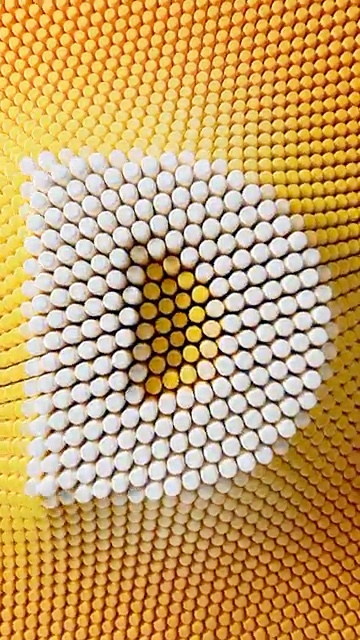 DOTS