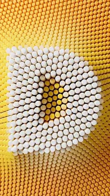 DOTS